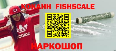 твердый Кингисепп