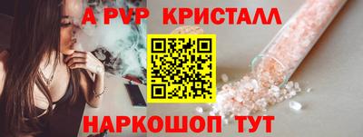 твердый Кингисепп