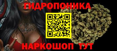 твердый Кингисепп