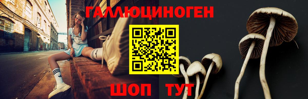 Галлюциногенные грибы MAGIC MUSHROOMS  продажа наркотиков  Фролово  Вход с VPN 
